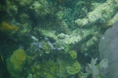 DSCF0410