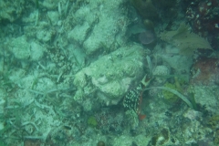 DSCF0412