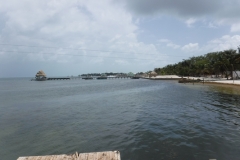 Hol-Chan-Marine-Reserve21