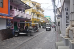 san-pedro1