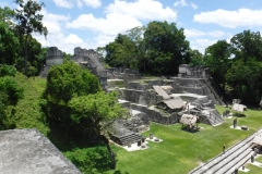 tikal10