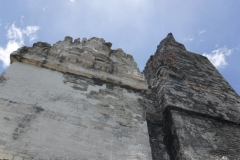 tikal11