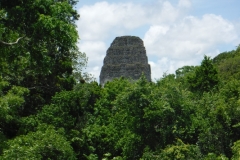 tikal13