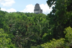 tikal16