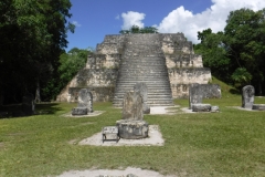 tikal17