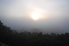 tikal20