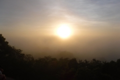tikal21