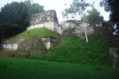 tikal28