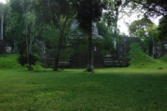 tikal29