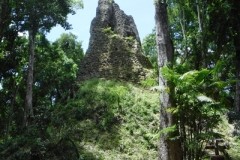 tikal3