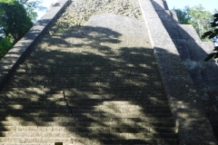 tikal30
