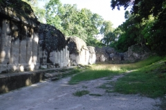 tikal31