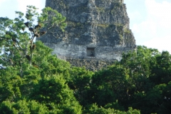 tikal34