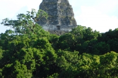 tikal35