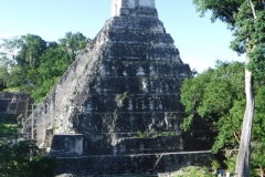 tikal36