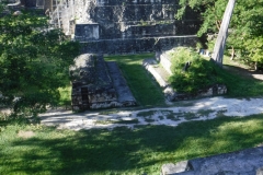 tikal37
