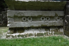 tikal5