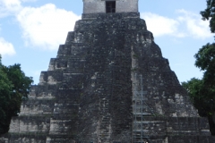 tikal6