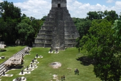 tikal7