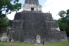 tikal8