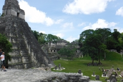 tikal9