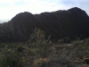Sonora Desert