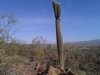 Sonora Desert