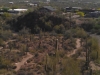 Sonora Desert