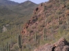 Sonora Desert