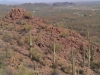 Sonora Desert