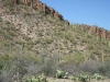 Sonora Desert