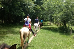 IMG_20180714_115135855